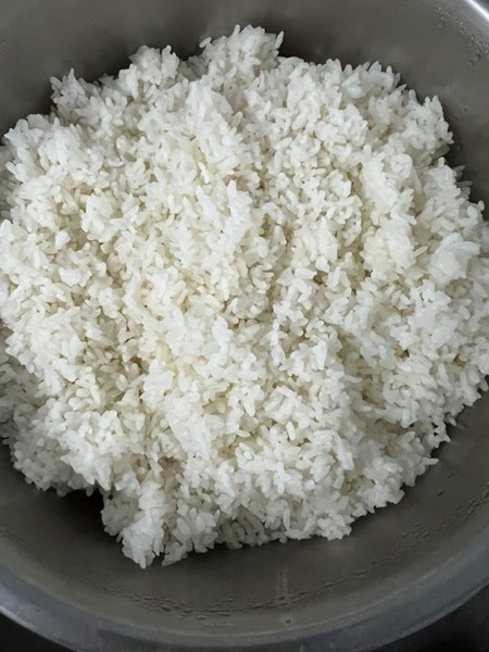午餐--香Q白米飯