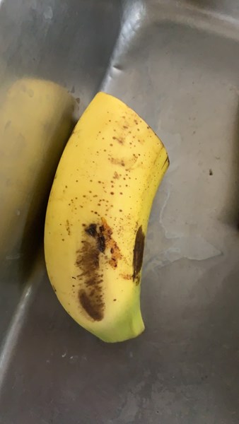 四季水果