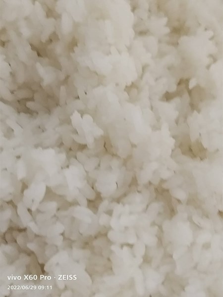 午餐--香Q白米飯
