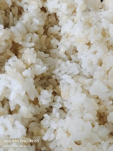 午餐--香Q白米飯