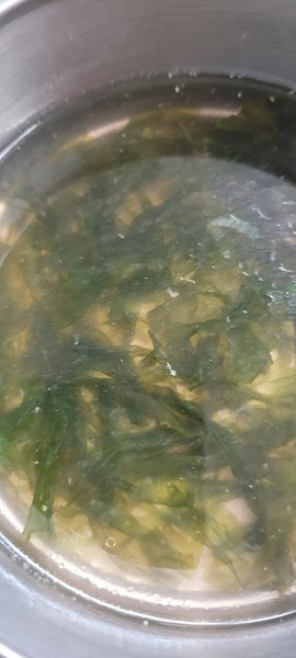 午餐--薑絲紫菜湯