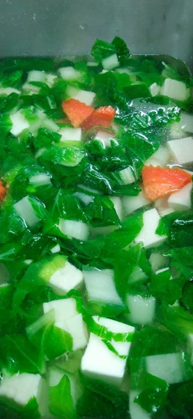 午餐--青菜嫩腐湯