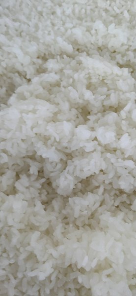 午餐--香Q白米飯