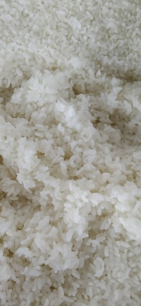 午餐--香Q白米飯