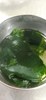 午餐--薑絲海芽湯