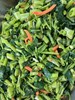 午餐~季節時蔬