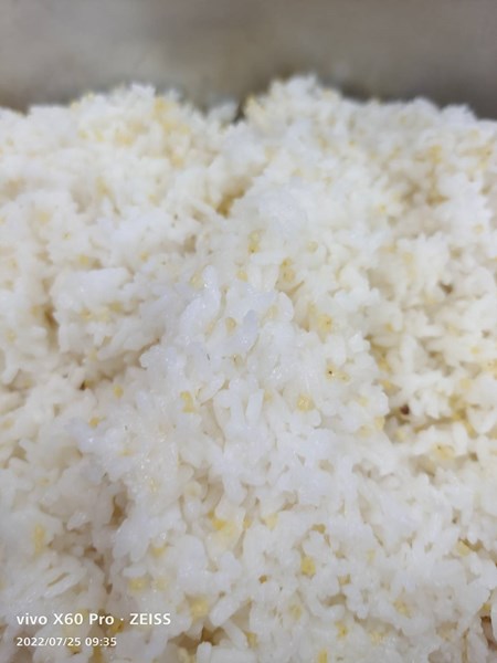 午餐--健康小米飯
