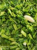 午餐--季節時蔬
