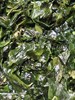 午餐--塔香海芽