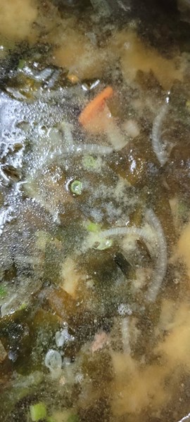 午餐--味噌海芽湯