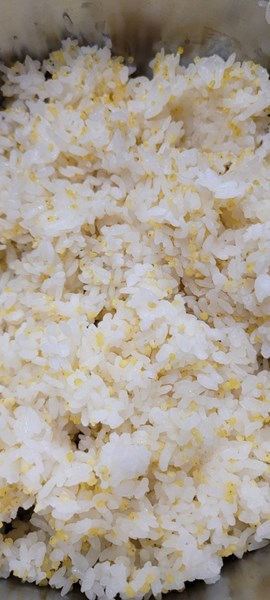 午餐--健康小米飯