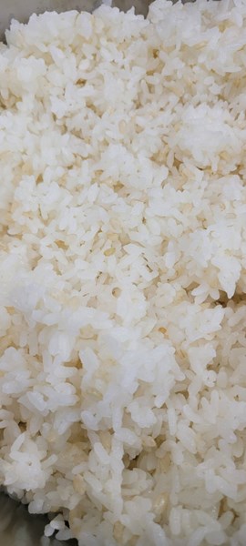 午餐--小薏仁飯