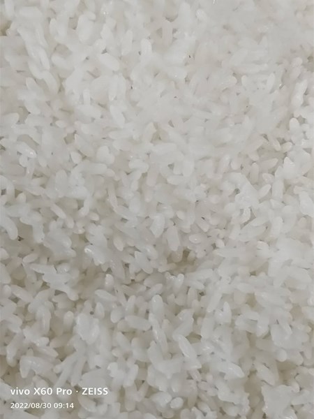 午餐--香Q白米飯