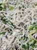 午餐--香炒吻仔魚