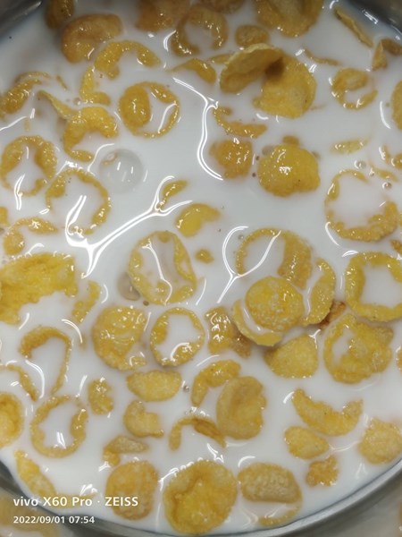 早點--穀類脆片+鮮奶