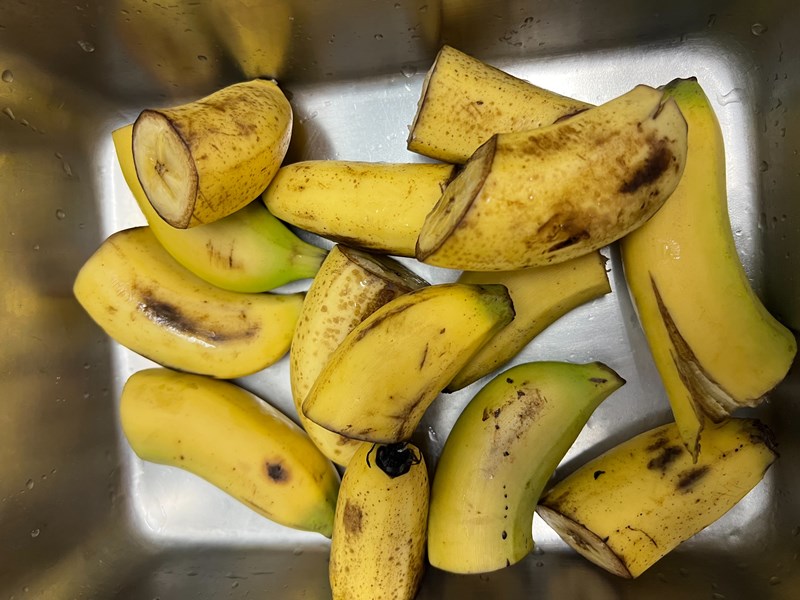 四季水果