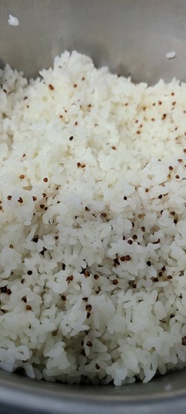 午餐--紅藜飯