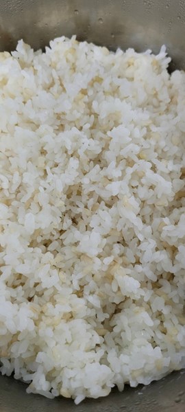 午餐--營養糙米飯