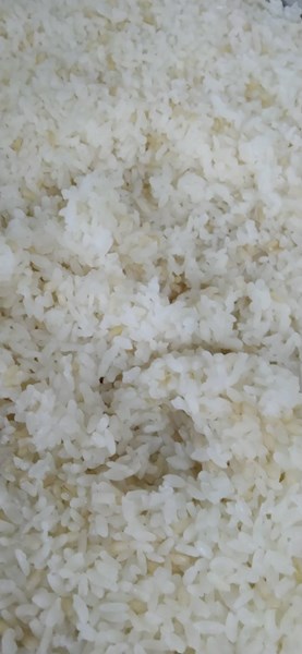 午餐--營養糙米飯