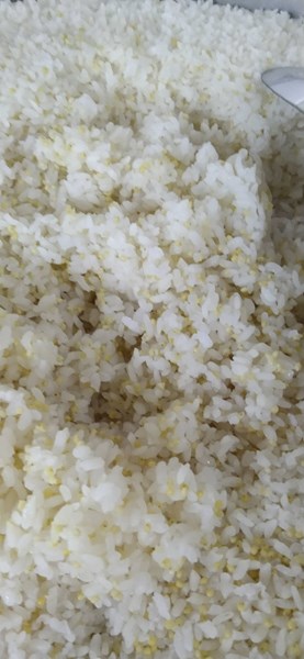 健康小米飯