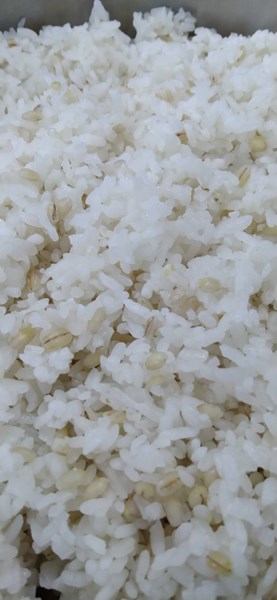 午餐--小薏仁飯