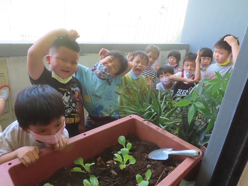 種植菜苗任務完成