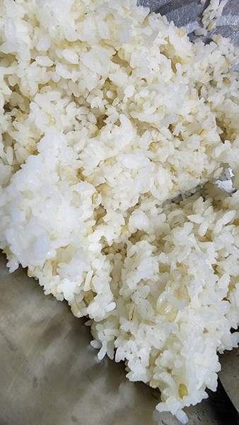午餐--營養糙米飯