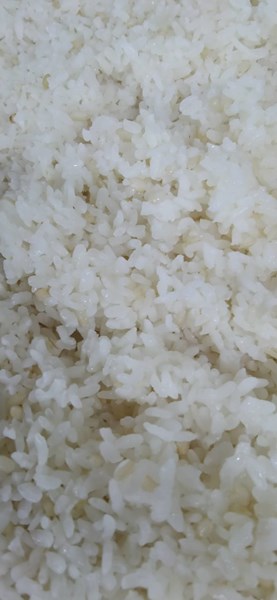 午餐--營養糙米飯
