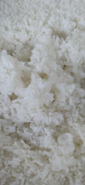 午餐--香Q白米飯