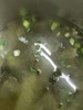 午餐--日式味噌湯