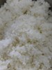 午餐--香Q白米飯