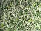 午餐--炒吻仔魚