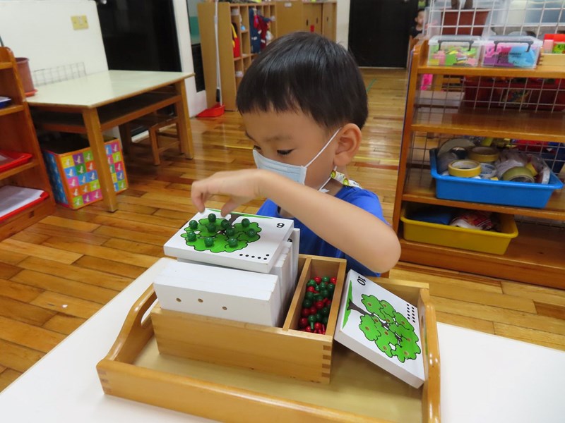 數數看有幾顆蘋果