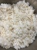 午餐--營養糙米飯