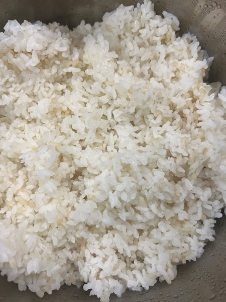 午餐--營養糙米飯