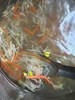 午餐--黃芽排骨湯