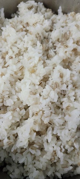 午餐--小薏仁飯