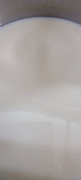 早點--牛奶