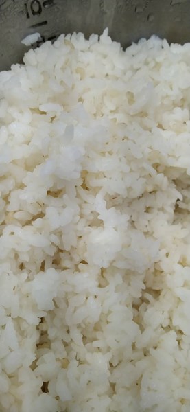 午餐--營養糙米飯