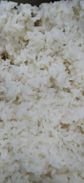 午餐--營養糙米飯