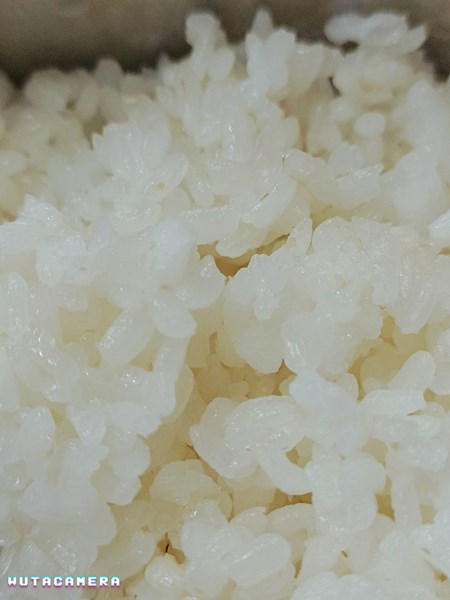 午餐--營養糙米飯