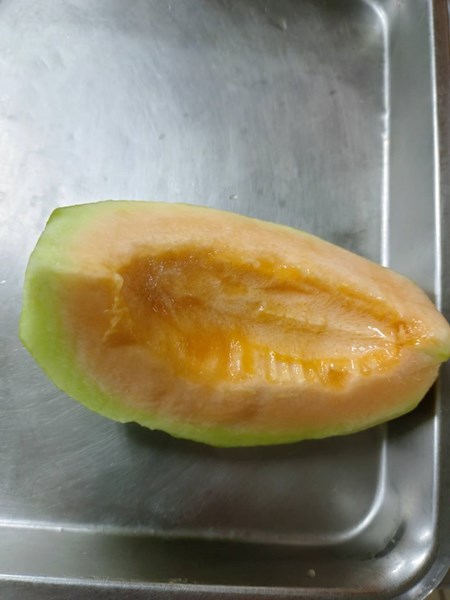 四季水果