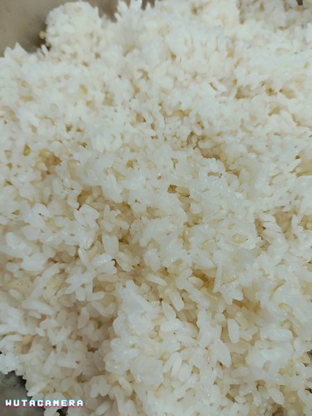 午餐--營養糙米飯