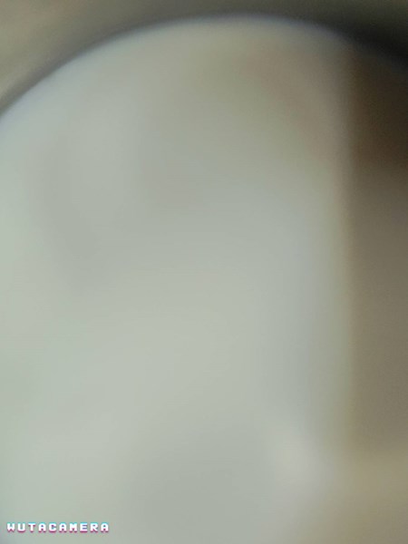 早點--鮮奶