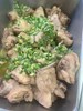 午餐--蔥油雞