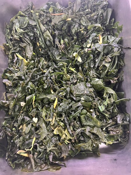 午餐--塔香海芽