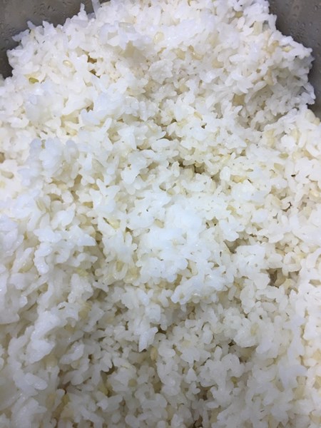 午餐--營養糙米飯