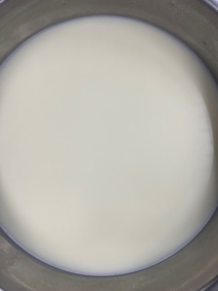 早點--牛奶