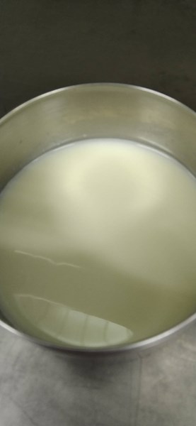 午點--牛奶