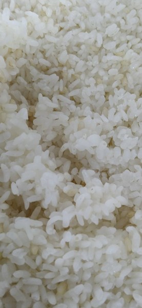 午餐--營養糙米飯